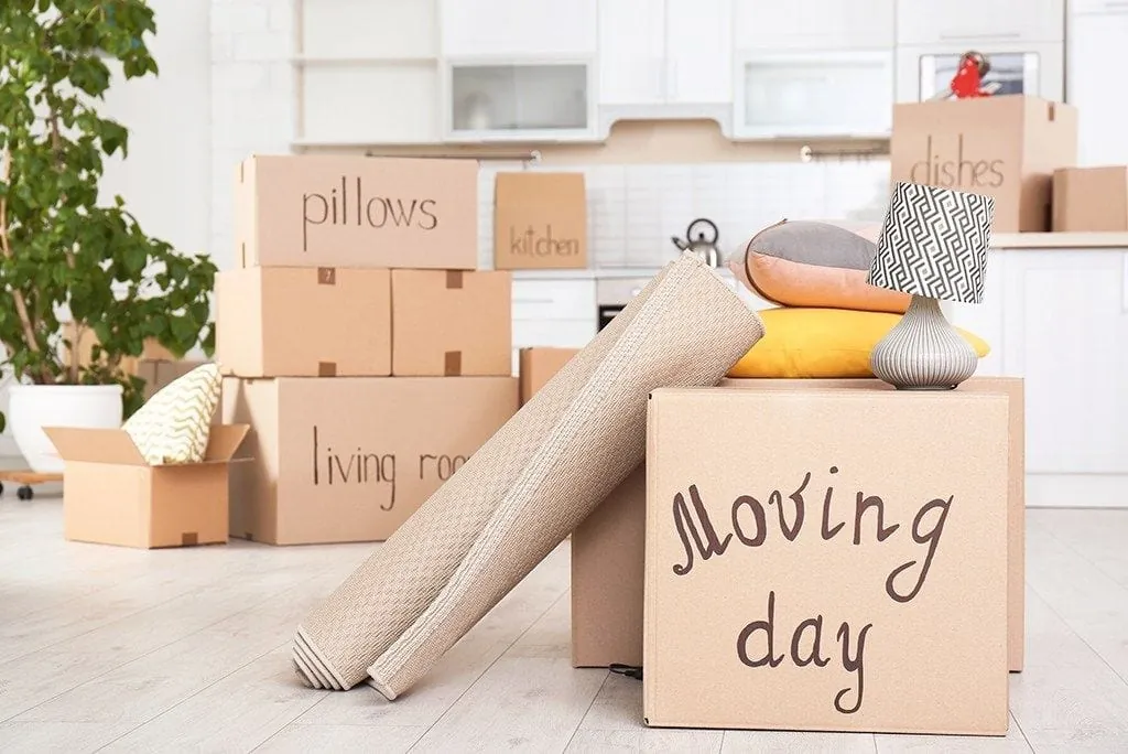 Packed moving boxes labeled for moving day in a kitchen